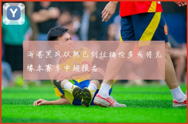 海港黑风双煞已到位梅伦多或将无缘本赛季中超报名