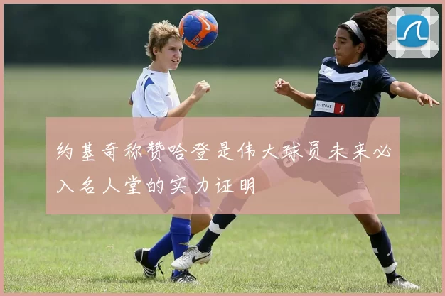 约基奇称赞哈登是伟大球员未来必入名人堂的实力证明